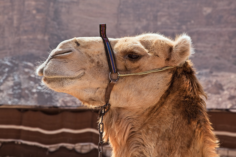 Jordanien