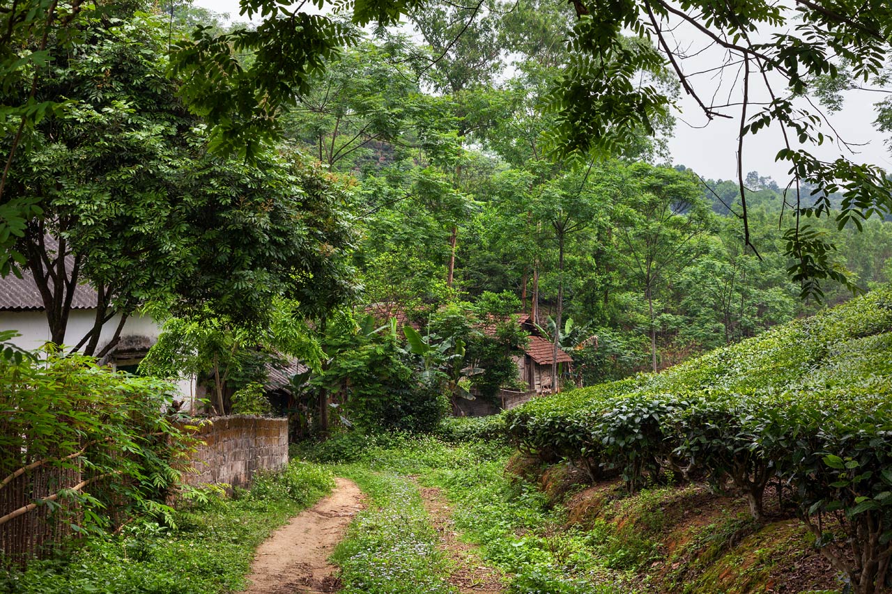 Vietnam