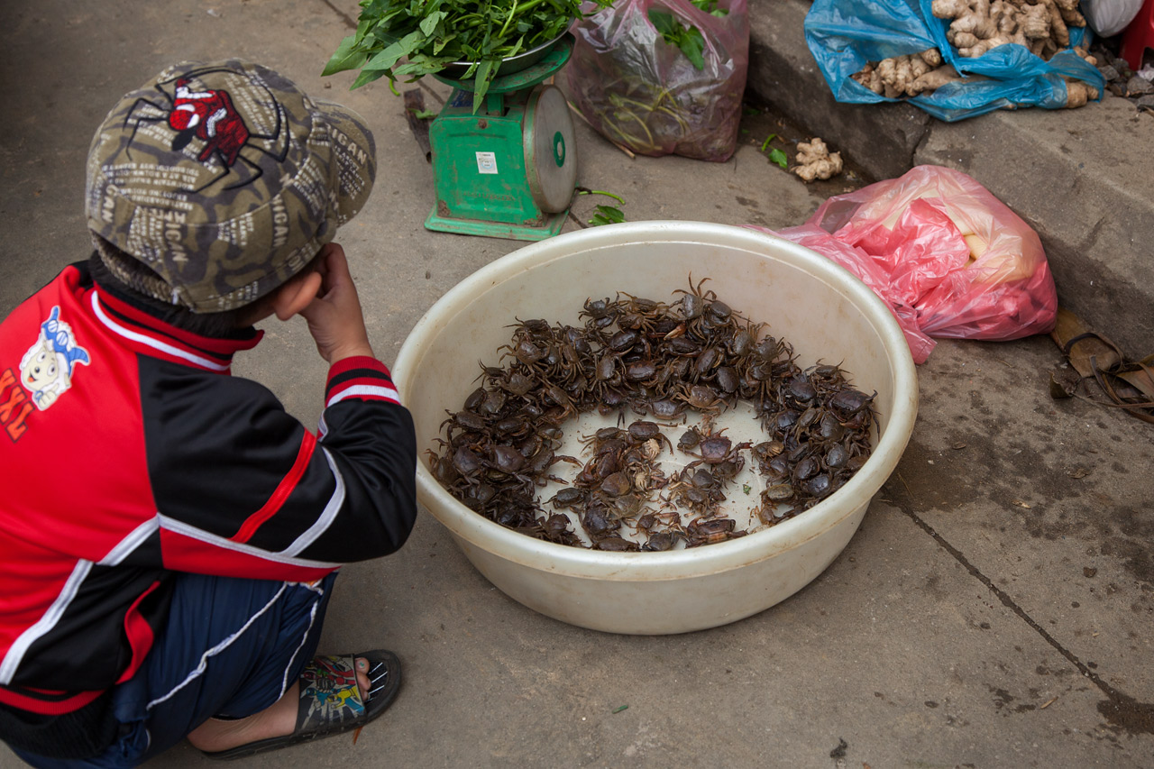Vietnam