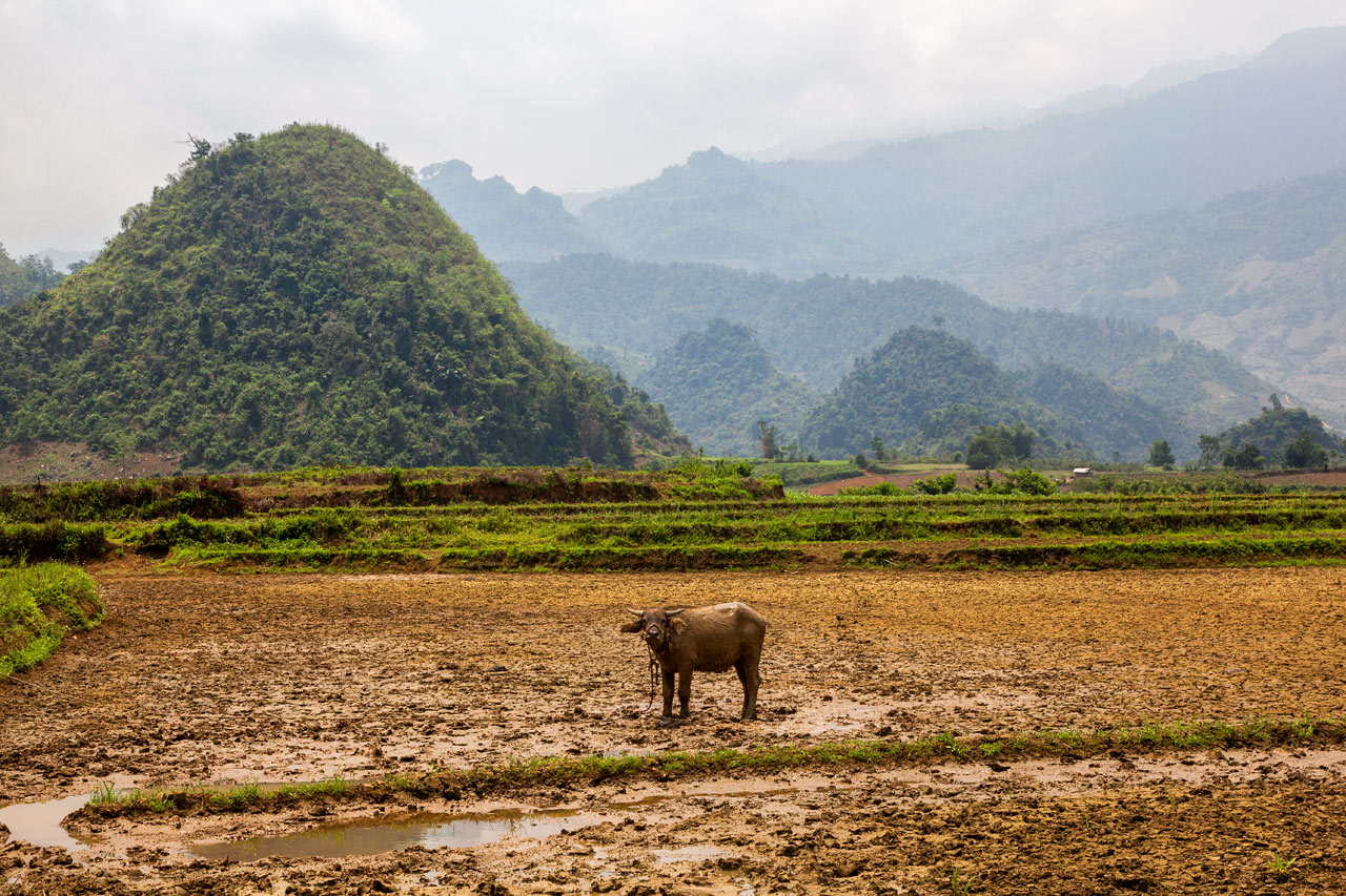 Vietnam