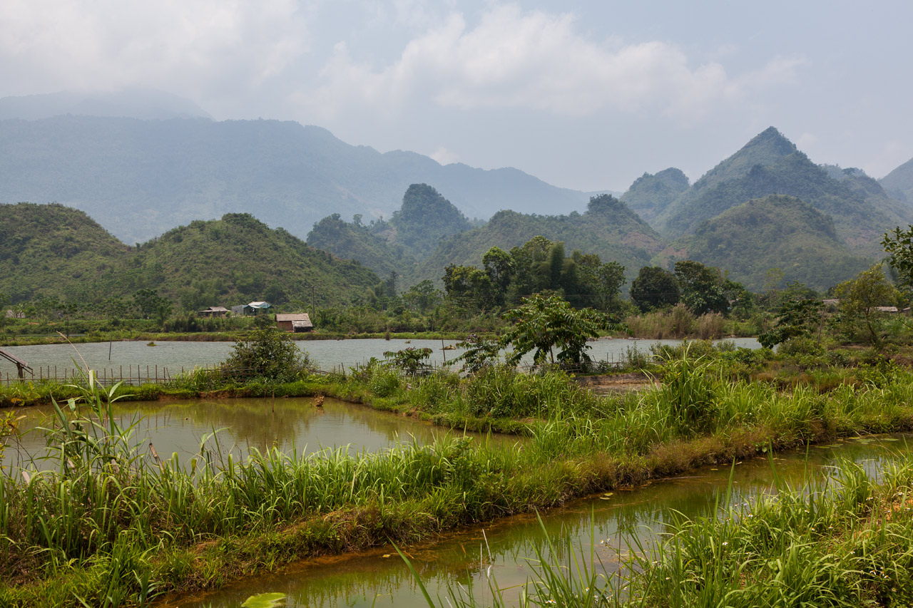 Vietnam