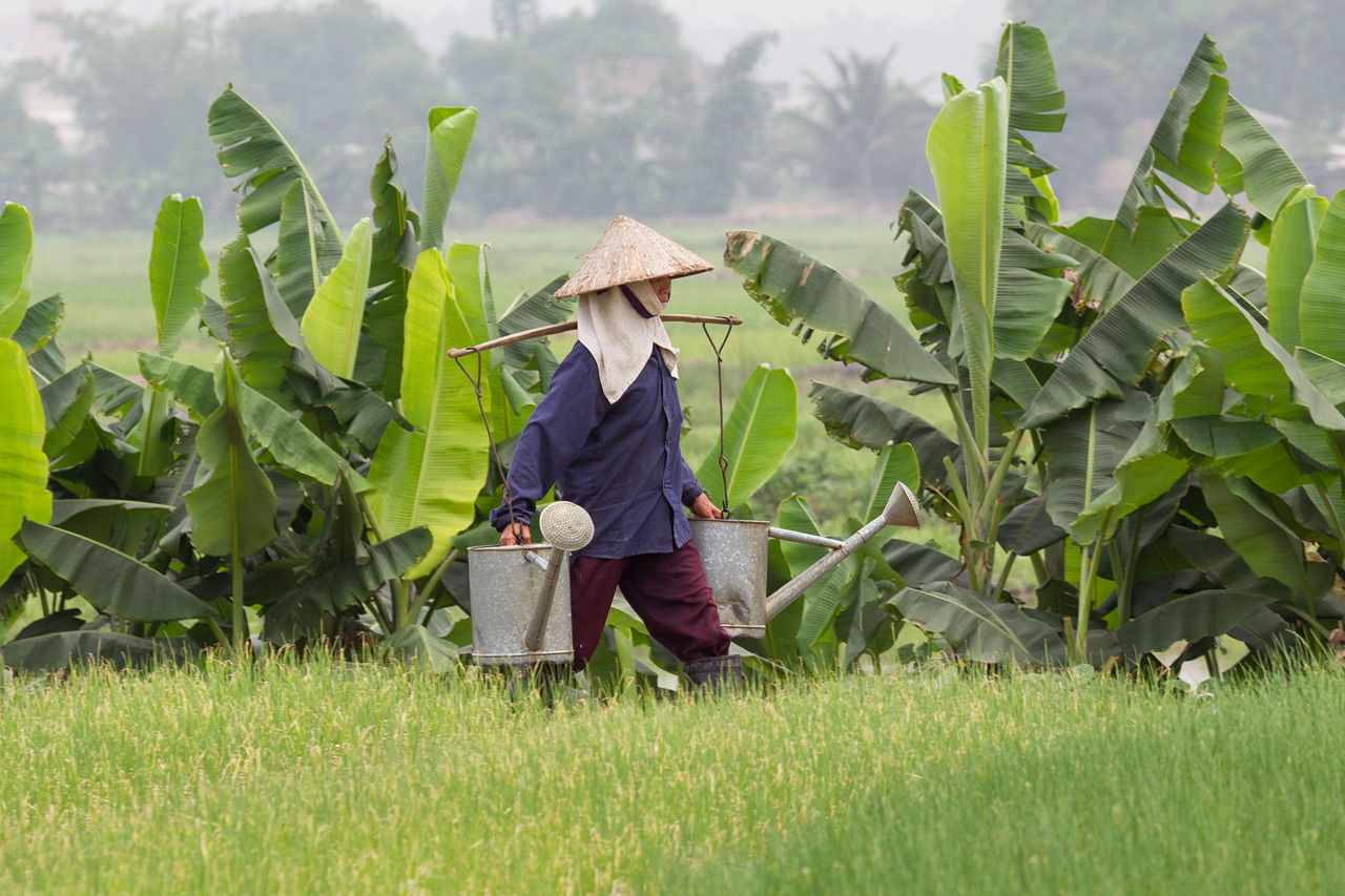 Vietnam