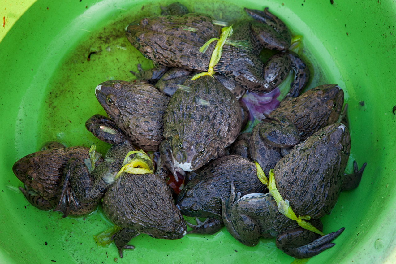Vietnam