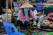 Vietnam: Vietnam-Märkte